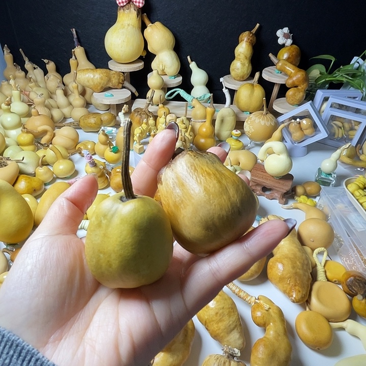 我***迦葫芦葫芦葫芦葫芦
