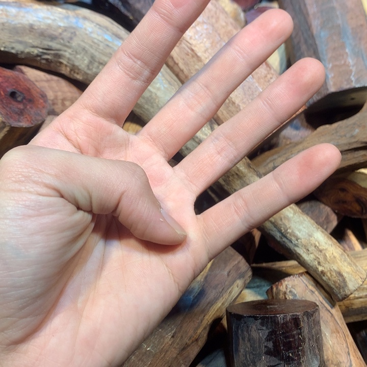 黄花梨/降香黄檀