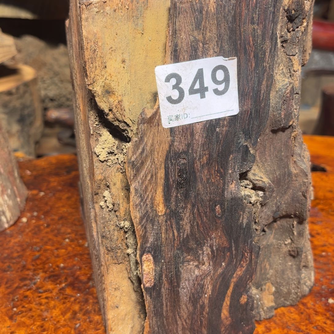 大果紫檀（缅甸花梨）