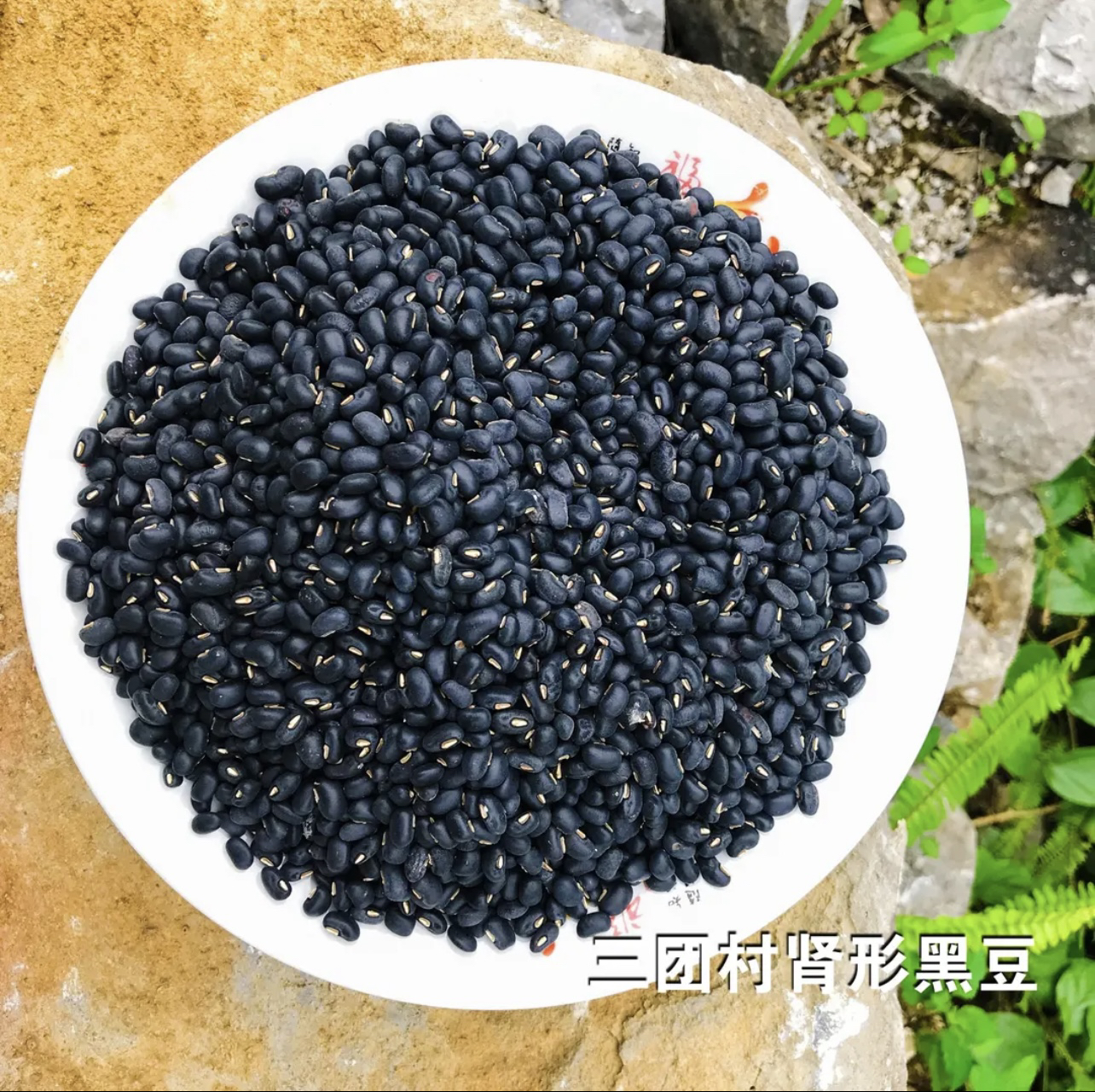 老品种肾形黑豆白芯 广西瑶山农家自种 营养高 不施肥不打药土货