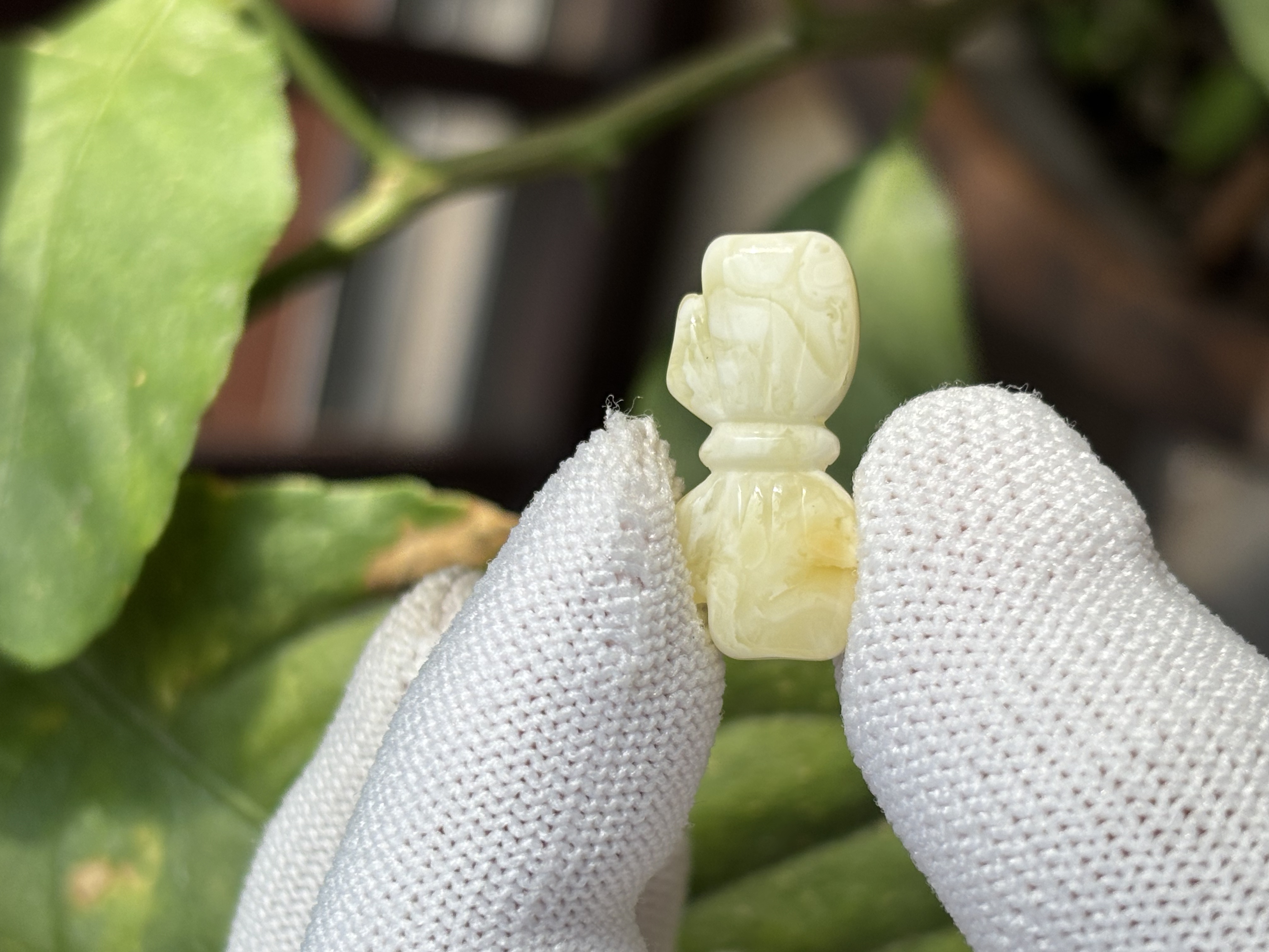 4881天然蜜蜡琥珀蝴蝶结配饰23x10.6x6.3mm