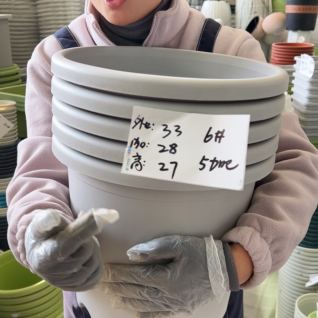 四季盆6#灰白色5个无托