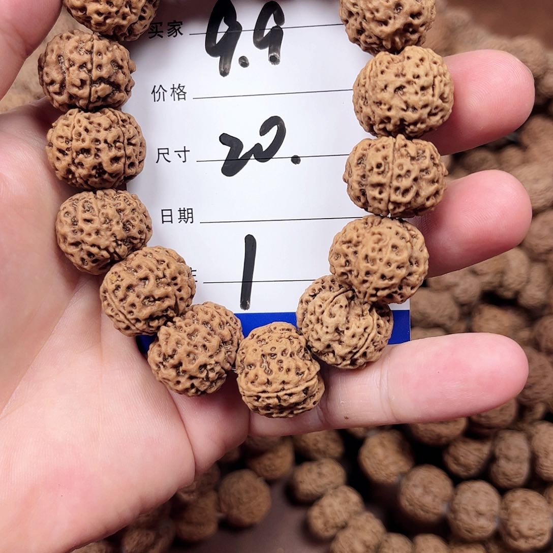 手串金刚菩提1号