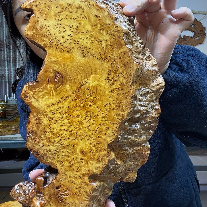 笔****香杉干泡干泡干泡