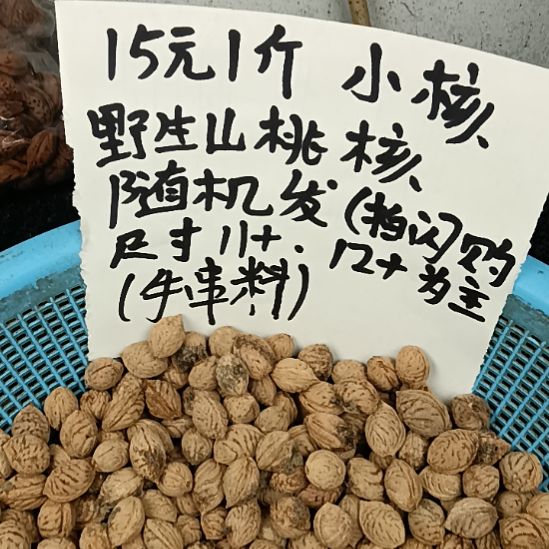 鑫***动吊坠桃核野生山桃核小核60元5斤随机发