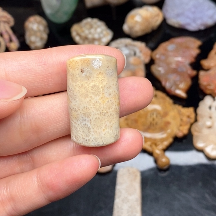 硅化珊瑚（珊瑚玉）手镯未镶嵌