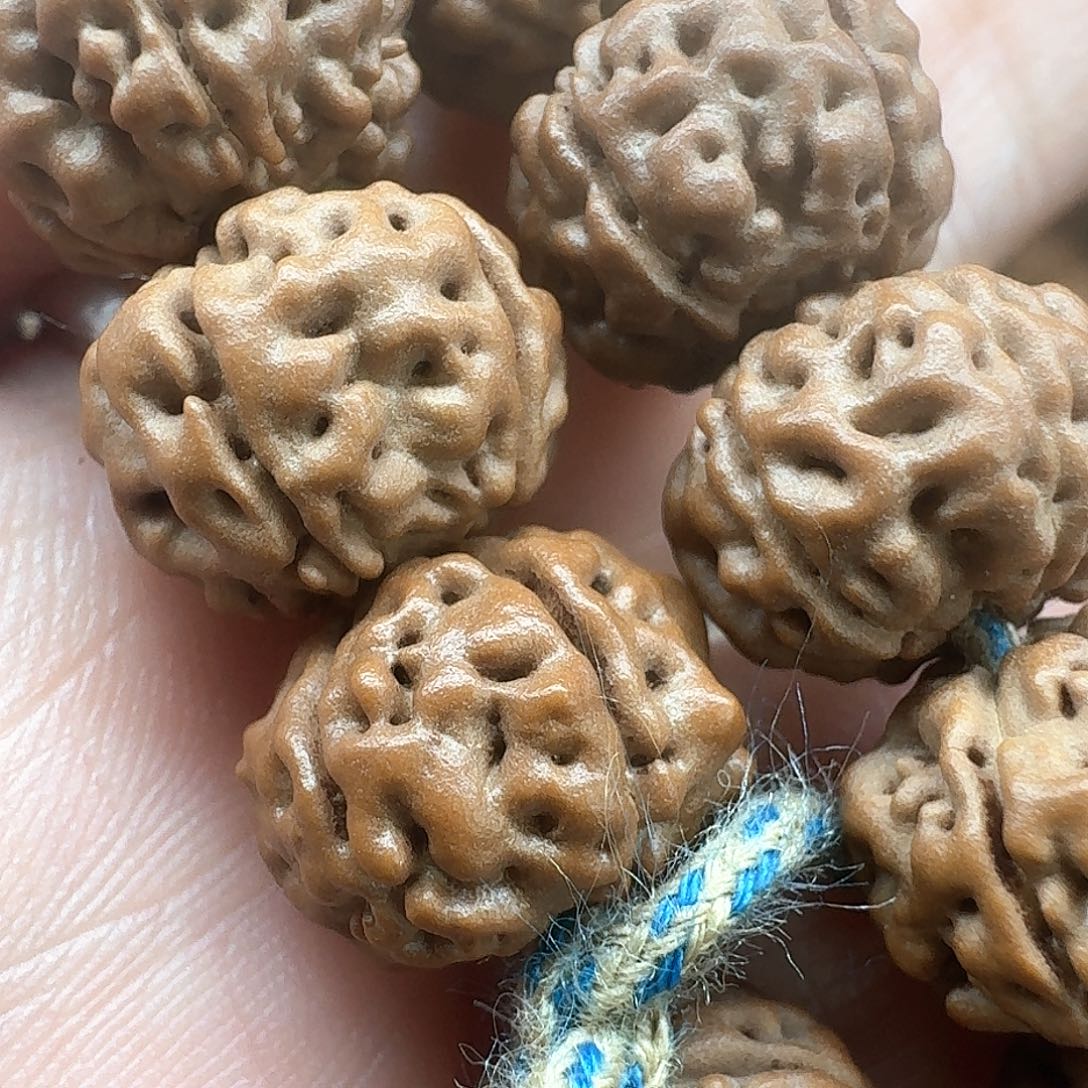 金刚菩提手串￴****￴老树王11.5-11.9