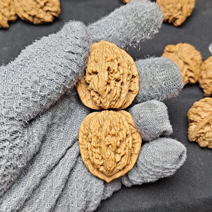 全品无修麦穗虎头36尺