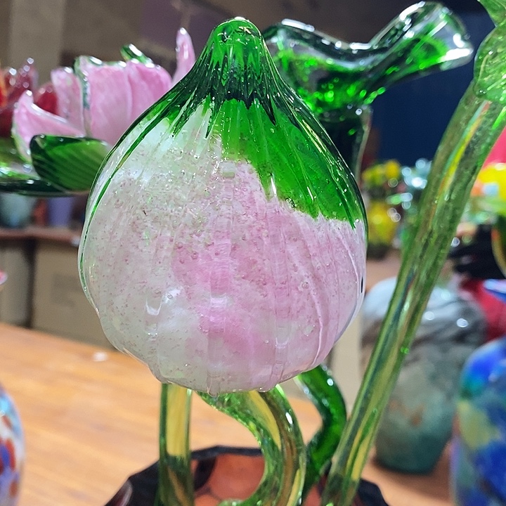 夜光花包高45厘米