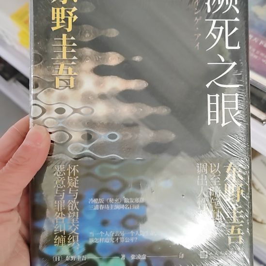 东野圭吾边死之眼
