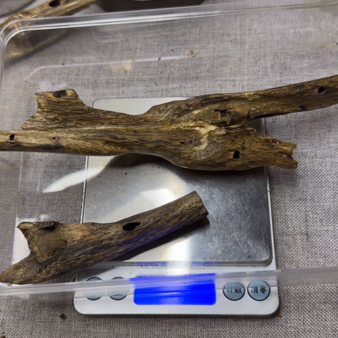 楠木奇楠虫漏原材料50克