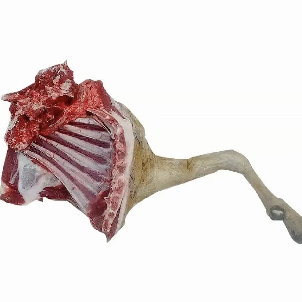 新鲜现杀黑山羊前腿带排现场称重一物一拍