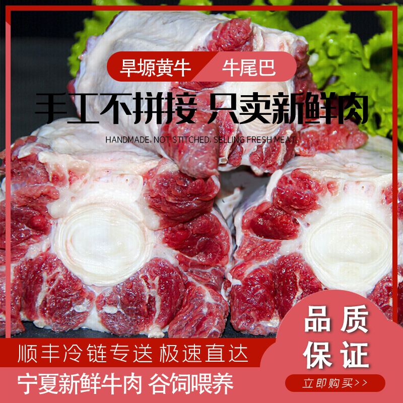 【顺丰冷链】宁夏旱塬黄牛尾新鲜整根牛尾红烧炖煮食材高品质清真