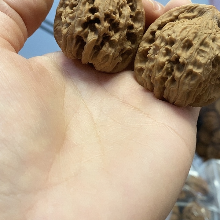 把件文玩核桃40红狮子小众油