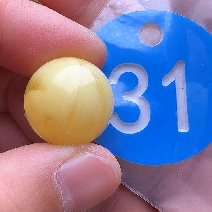 蜜蜡裸石未镶嵌金沙17m m