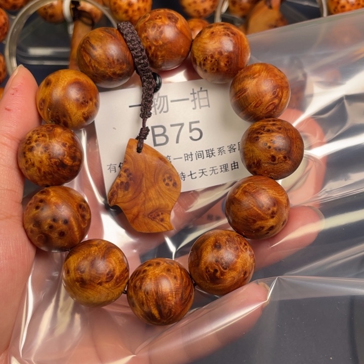 柏木（崖柏）其他明*，75