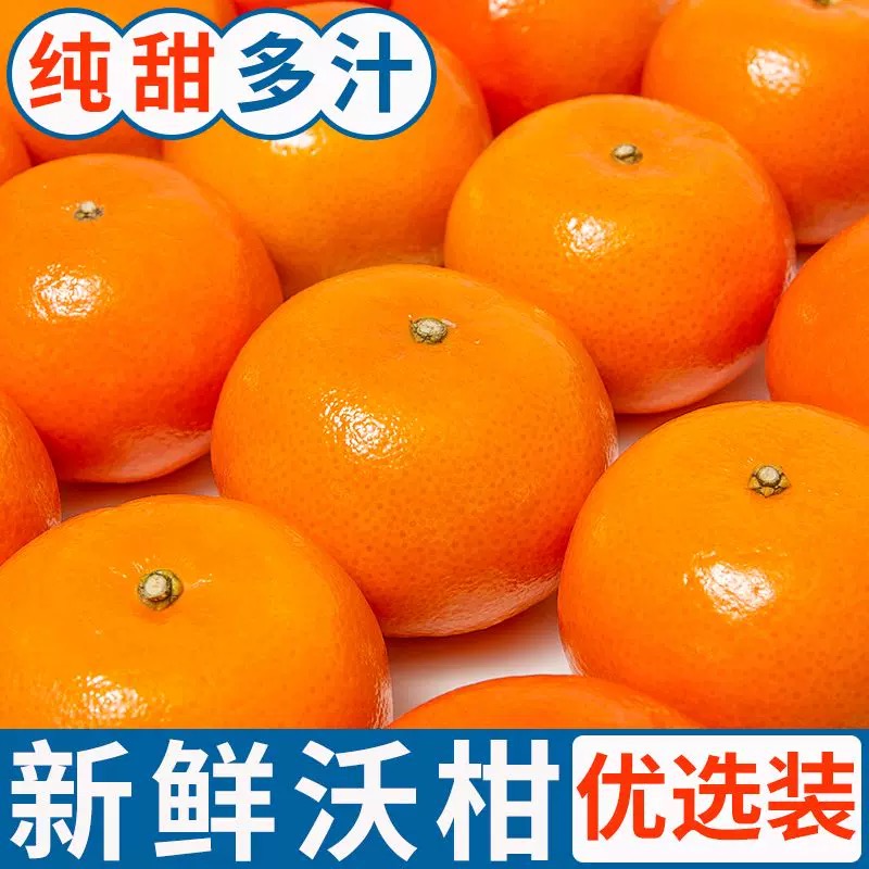 云南高山沃柑新鲜水果当季现摘斤沙糖蜜橘砂糖柑橘桔子橘子整箱