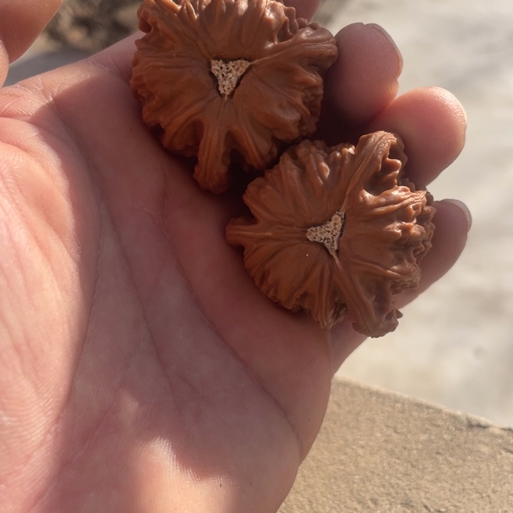 梦***想吊坠文玩核桃三棱三棱三棱三棱