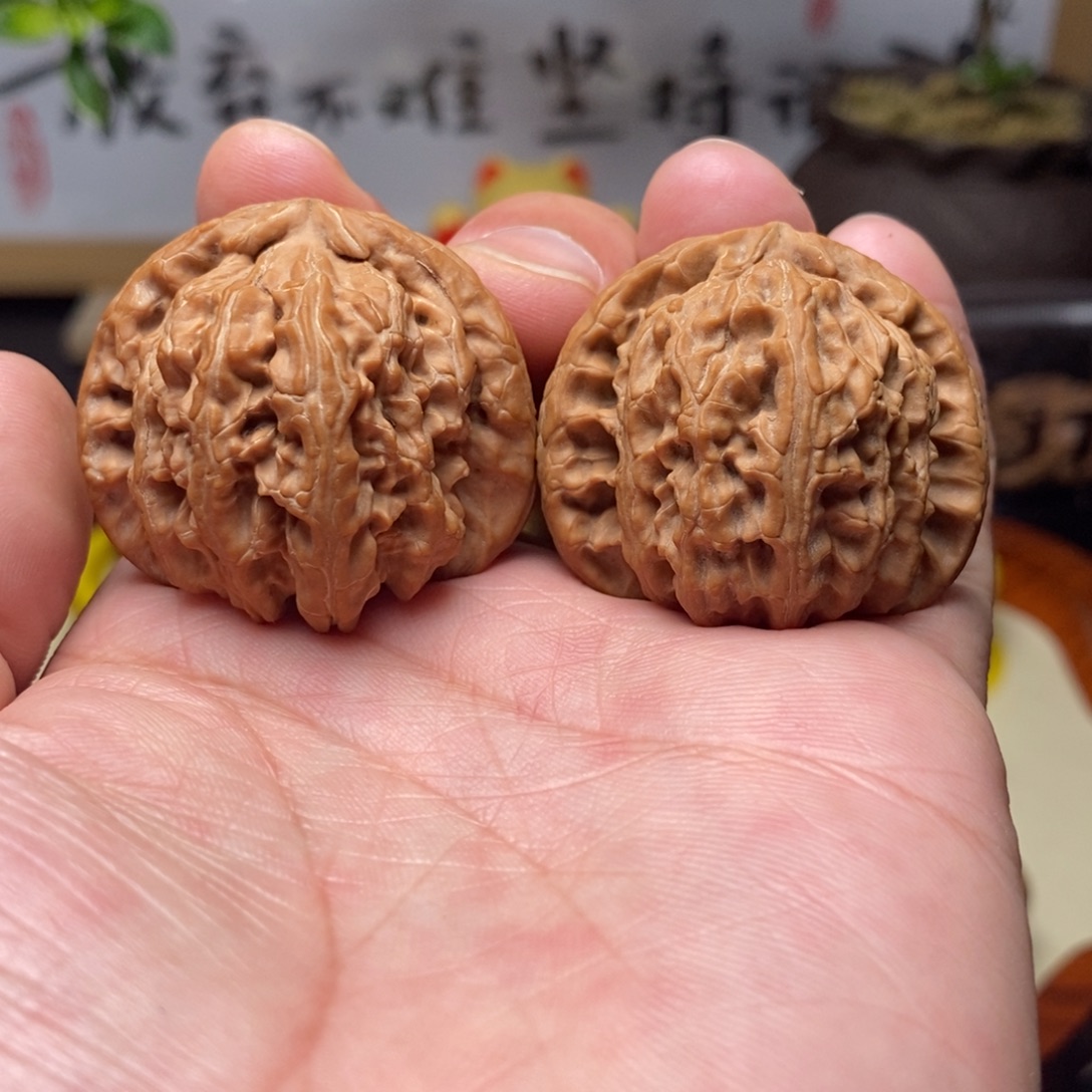 文玩核桃把件全品白狮子39.5