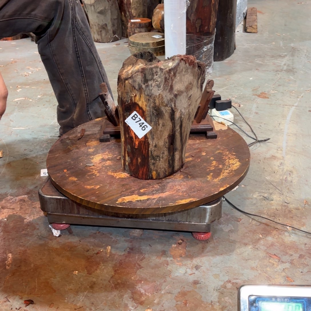 一物一拍血檀编码746