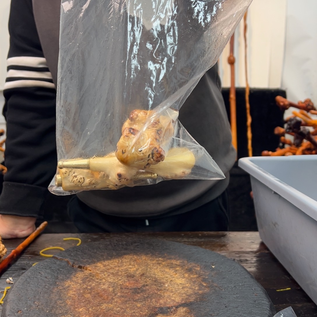 黑果木其他黑果木505