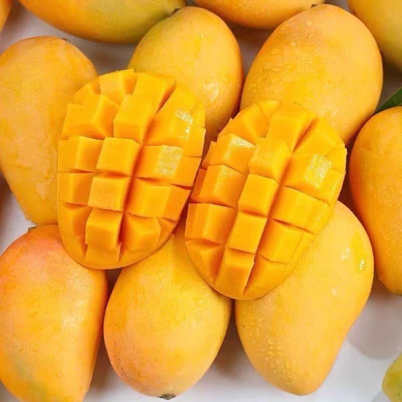 正宗云南小台农芒果当季新鲜水果超甜现摘小台芒整箱3斤