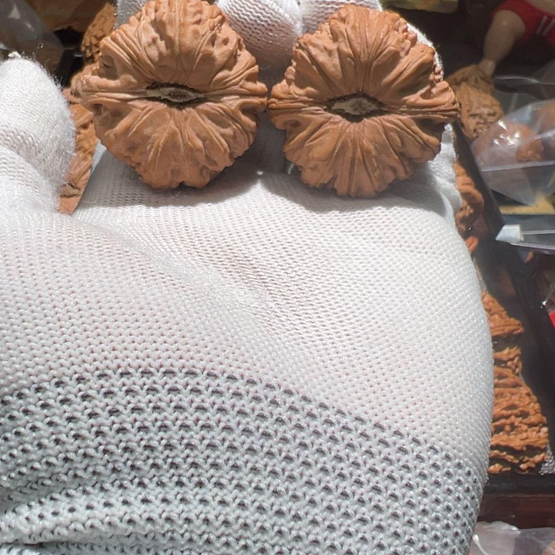 文玩核桃把件捂**风大眼白狮子