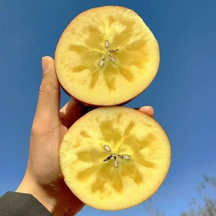 【10斤-实惠装】-四川汉源晚熟冰糖心丑苹果现摘脆爽多汁皮薄