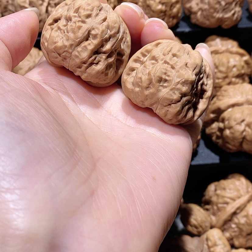 【闪购商品】核桃手串/手链边37蛤蟆头