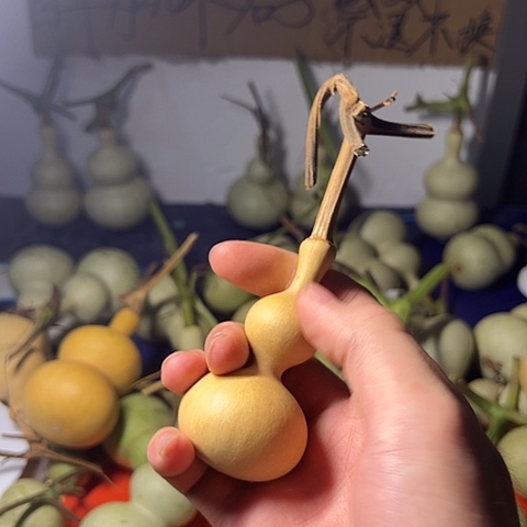 F***r你拿去吧 玩去 都哥们