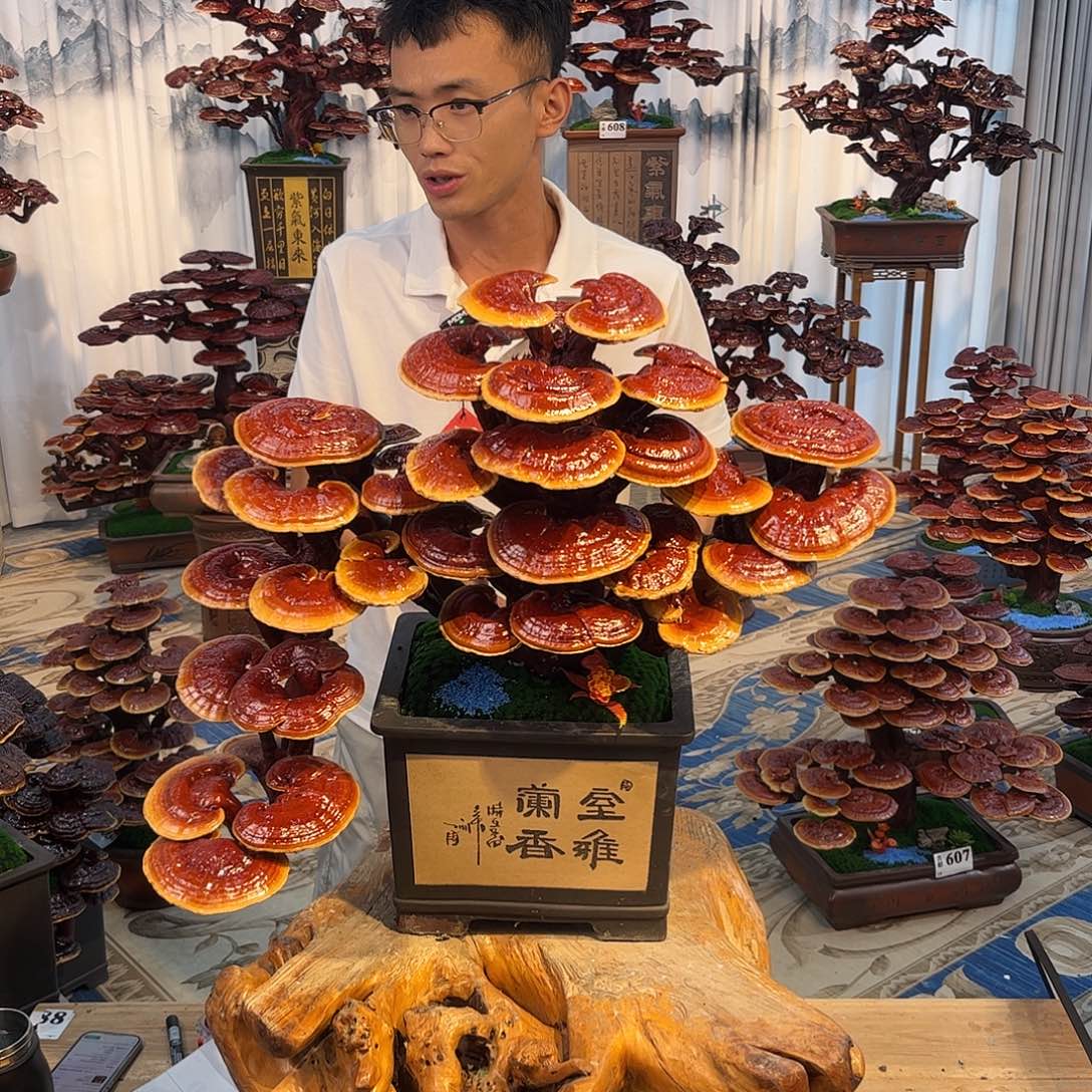 无花朵888888888888888
