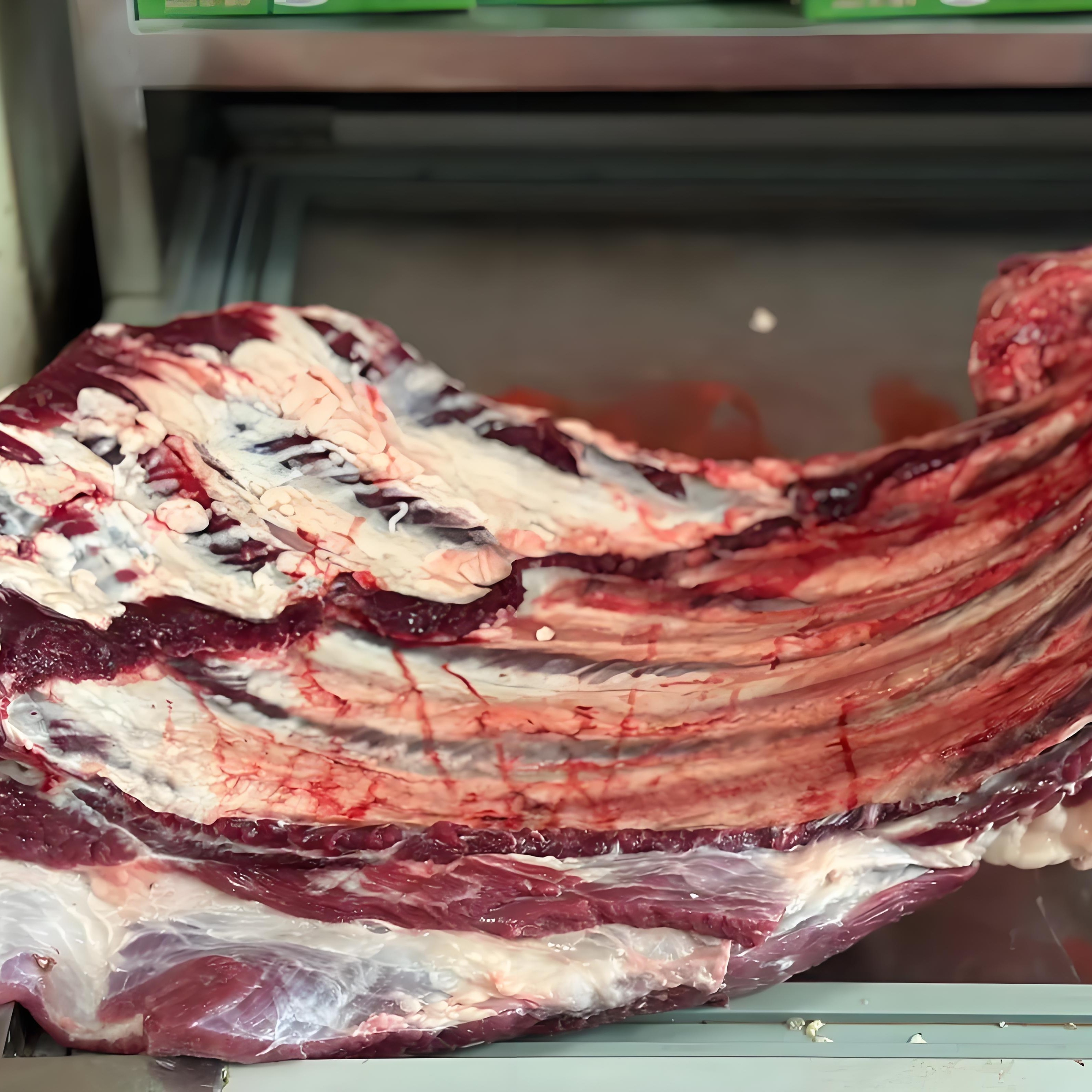 大西北散养黄牛 牛肋条可红烧清炖烧烤的高端食材