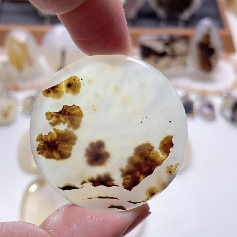 【闪购商品】玛瑙/玉髓颈饰未镶嵌