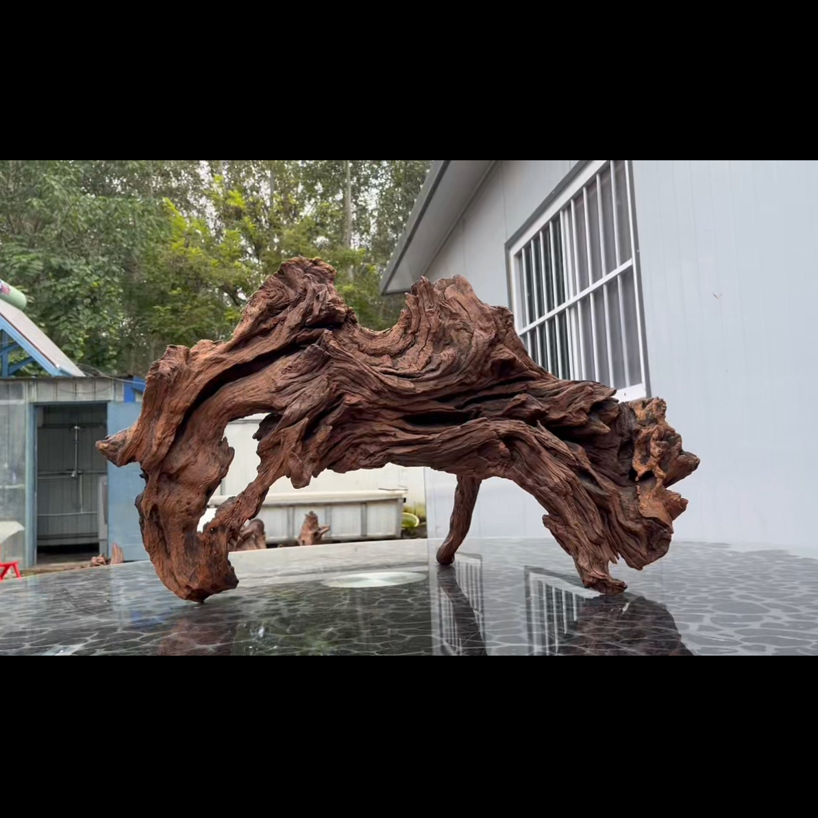 尺寸72×35×40 鱼缸造景沉木摆件，紫柚木，秒沉水，一木成景，包煮