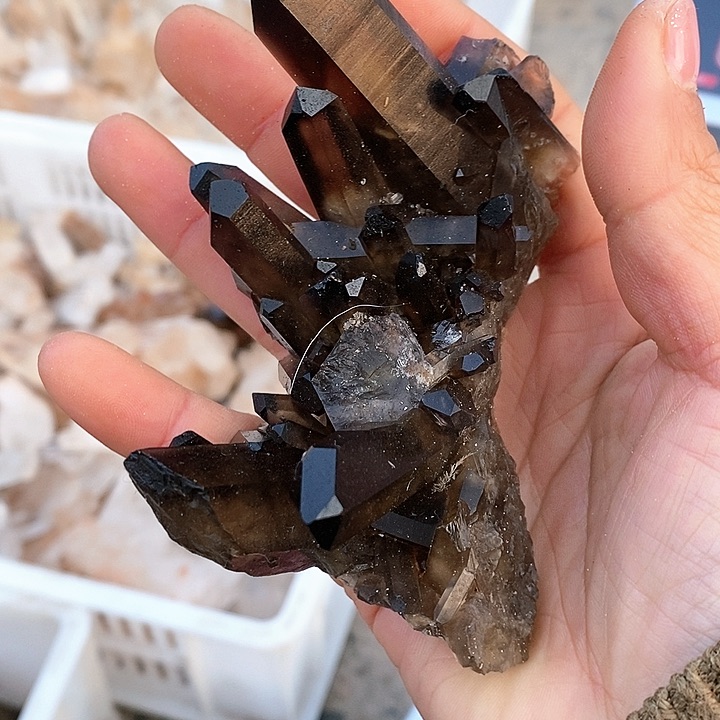 【闪购商品】烟晶手链未镶嵌用****2水晶