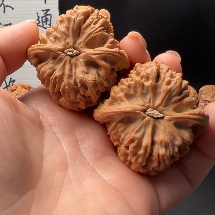 宫*6号46尺最大尺寸南将石