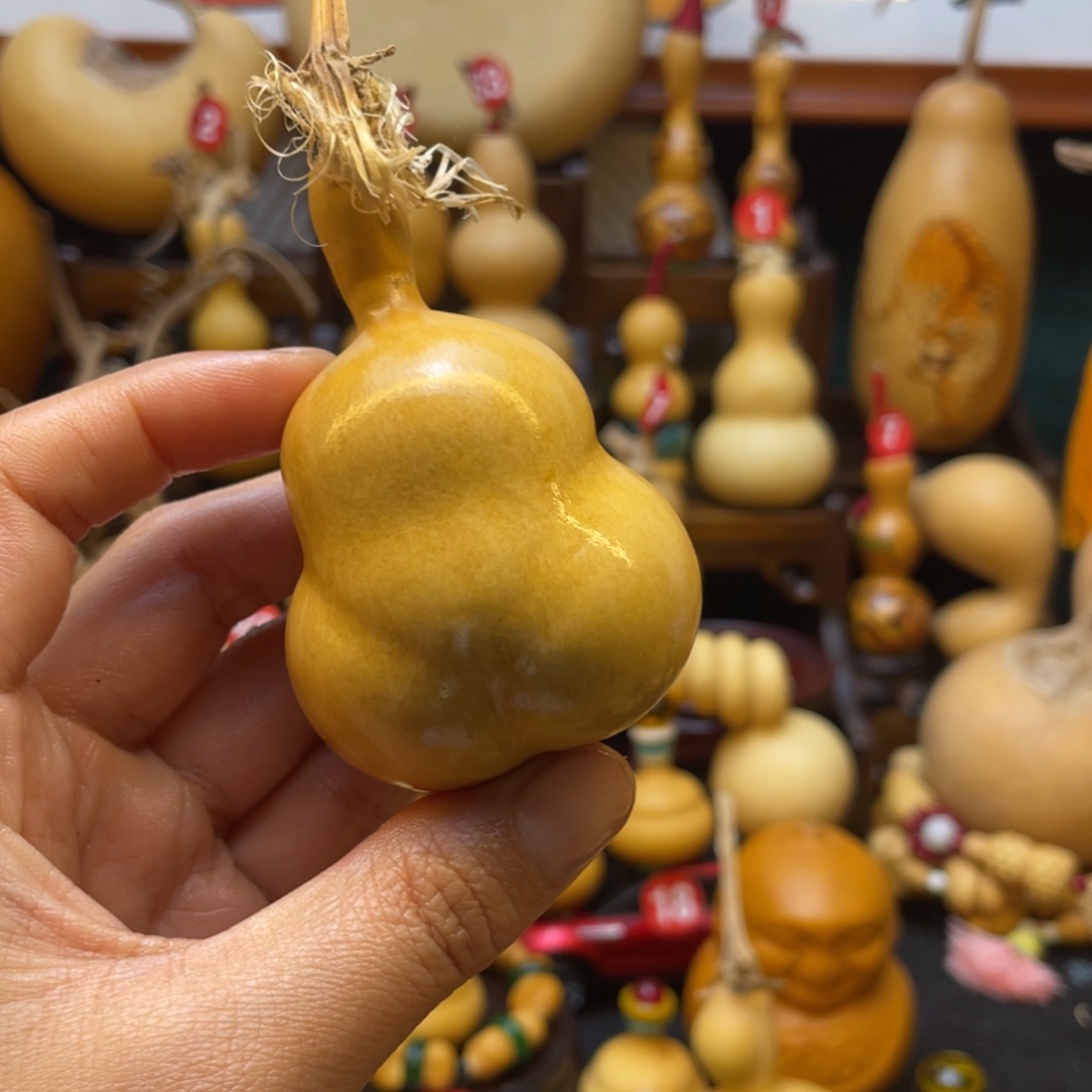 大****米大自然的秘密第十一节的秘密第二章