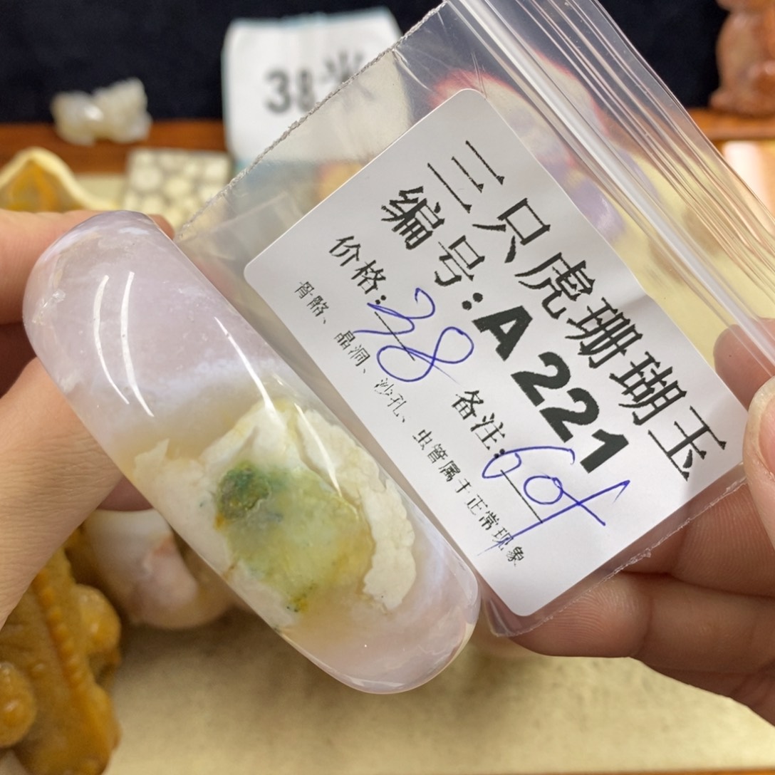 硅化珊瑚（珊瑚玉）1未镶嵌黑*