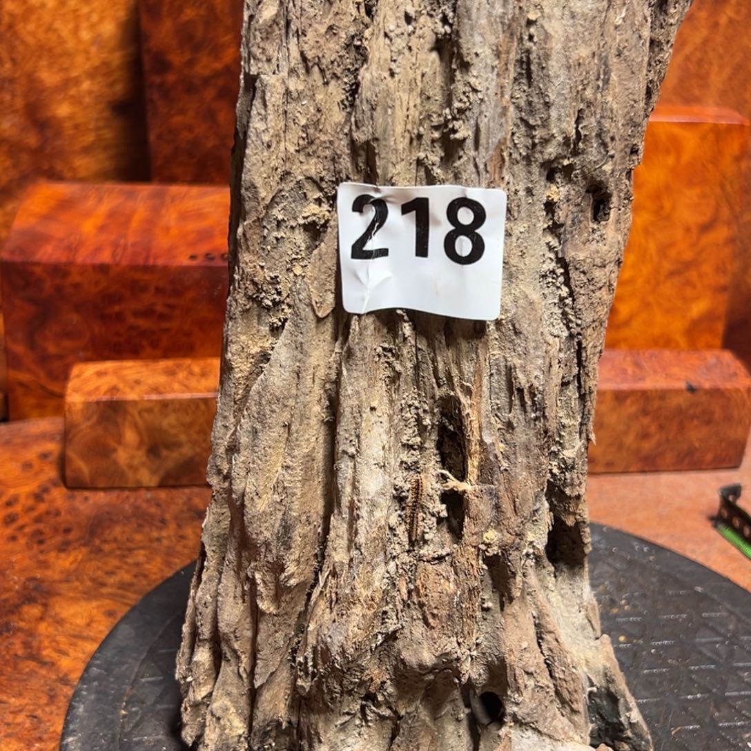 *****大果紫檀（缅甸花梨）