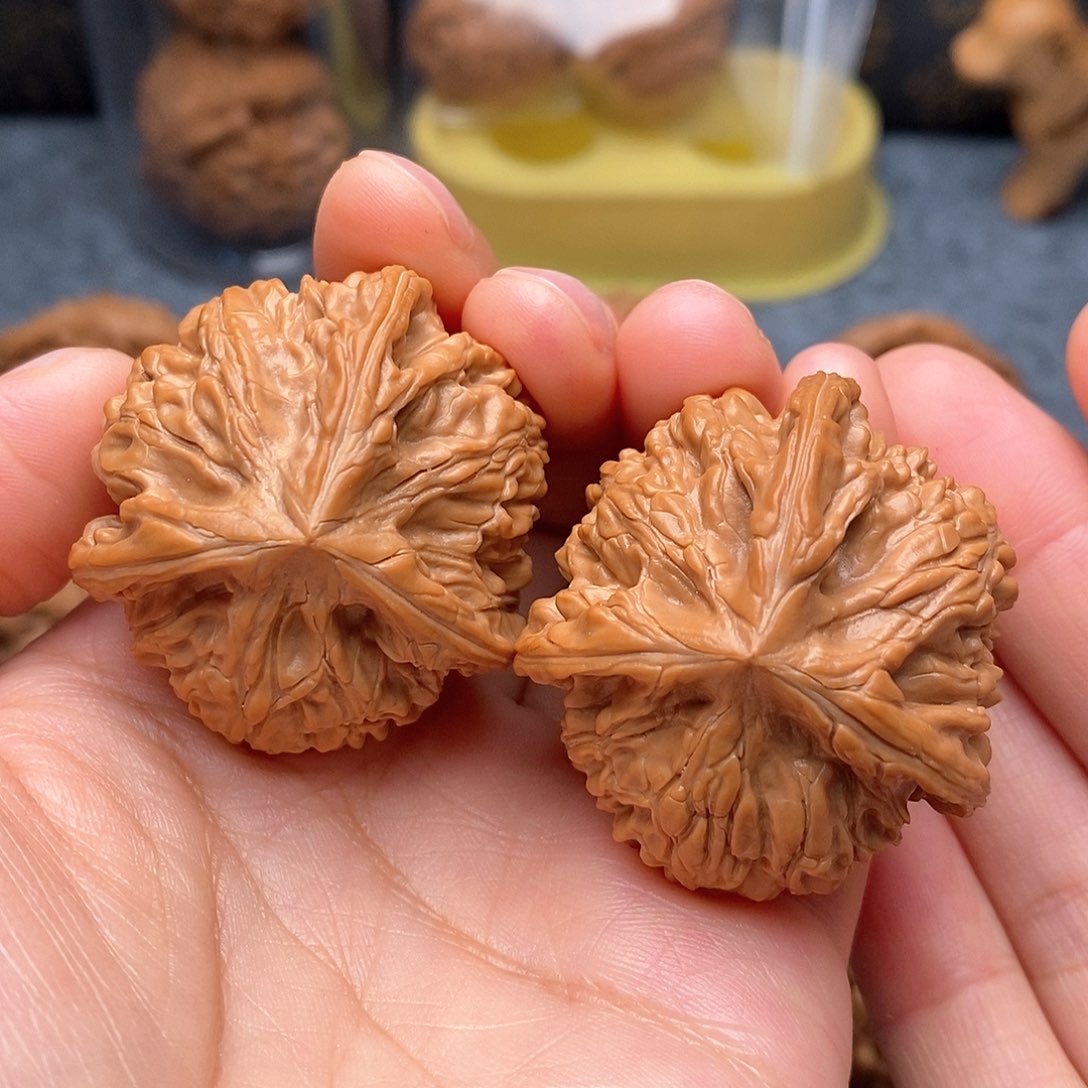 文玩核桃把件御龙三棱41尺全品