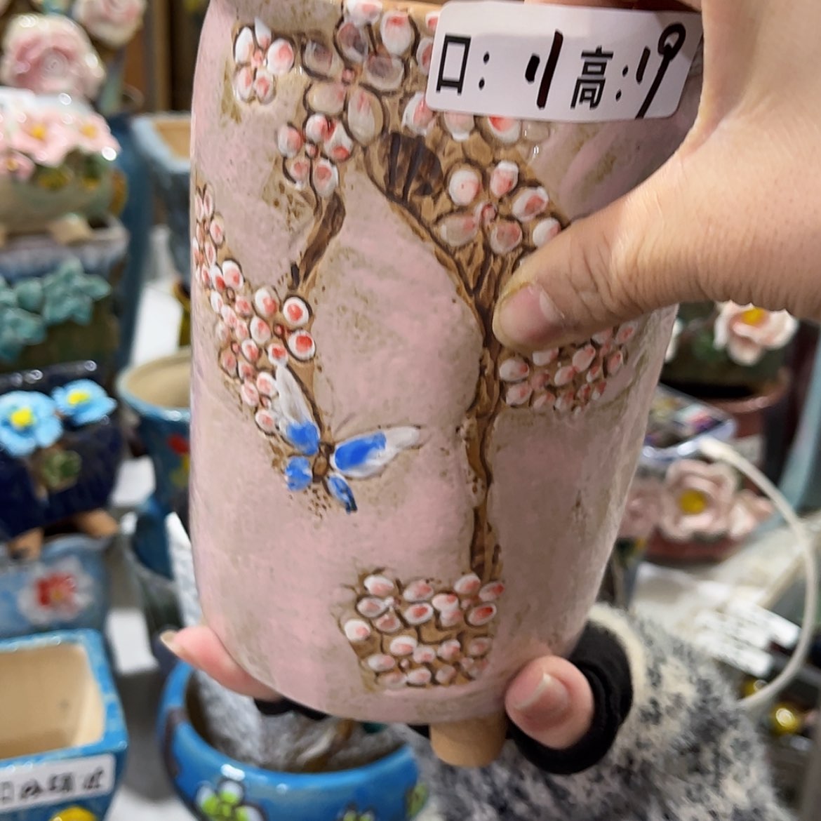 【闪购商品】红陶福利