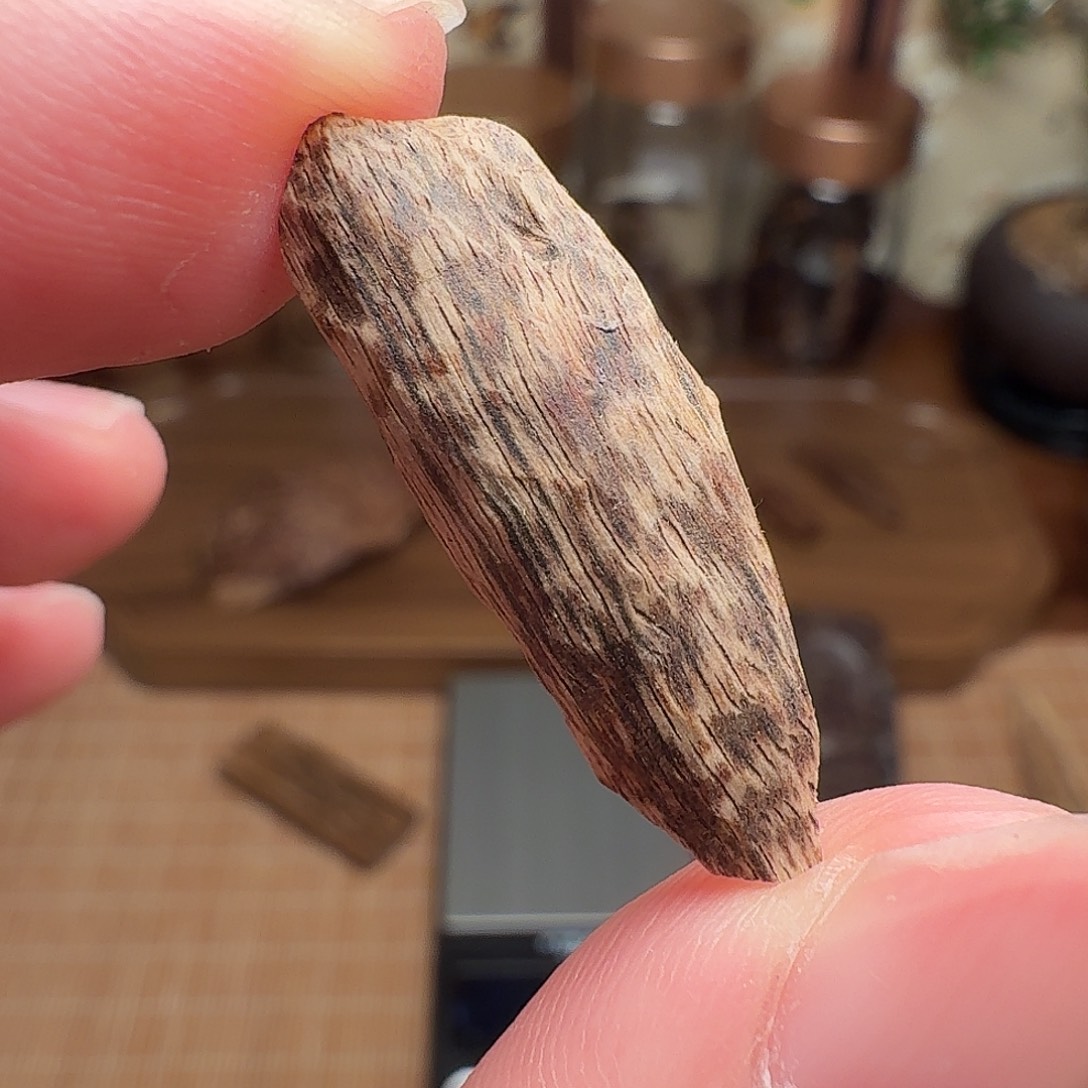 沉香斯里兰卡瓜子