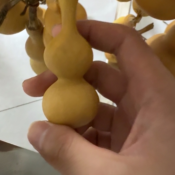 乄***哥精品八宝老皮周正