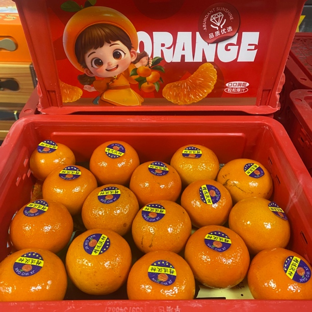 沃柑 精品礼盒整箱七斤左右