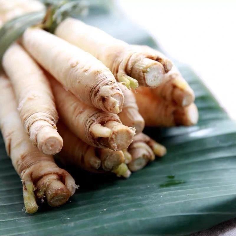 云南德宏茴香滋补煲汤年现蔬菜农家大茴香现挖人参新鲜煮汤嫩根