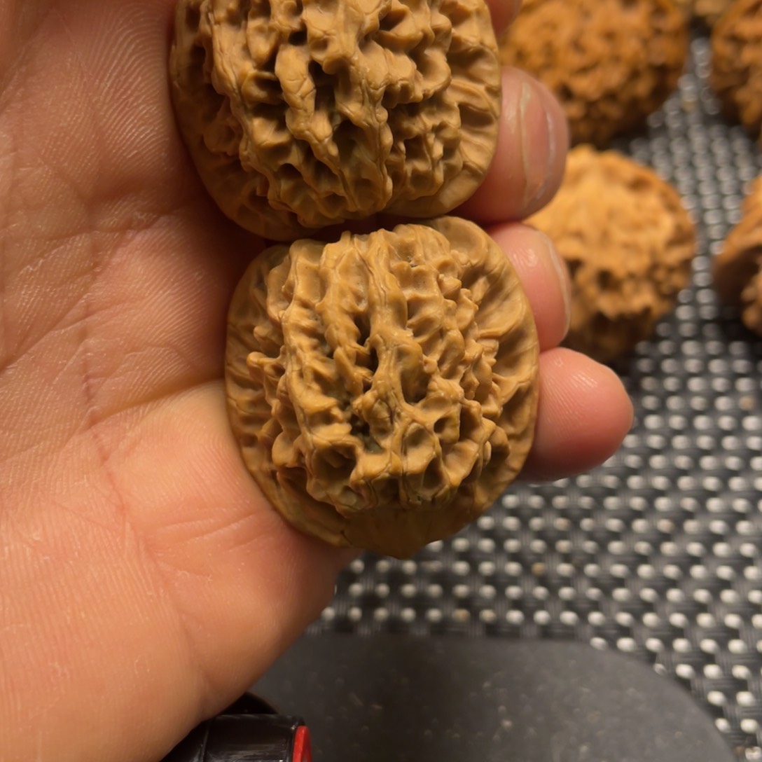 秦岭小王文玩核桃