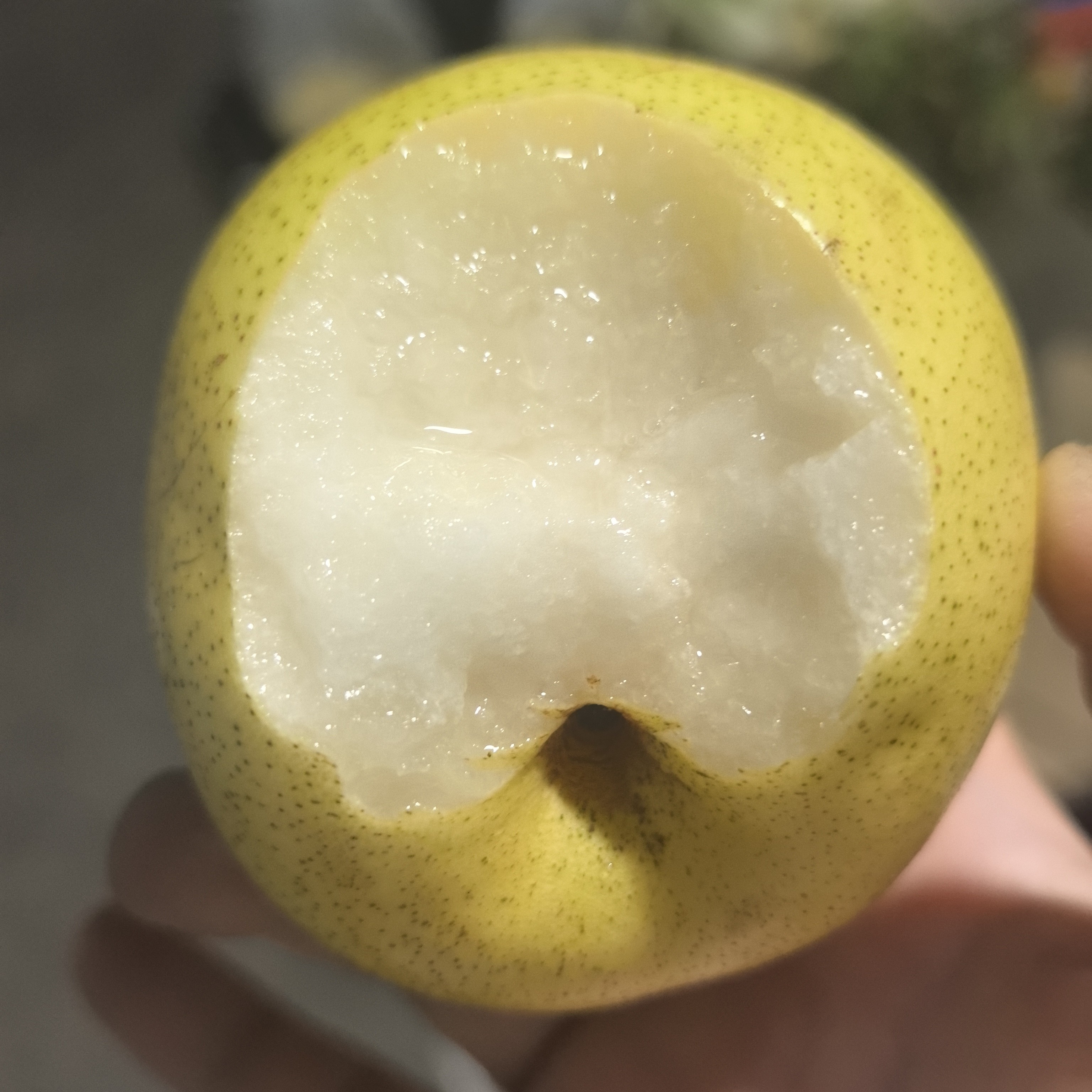 辽宁北镇医巫闾山山坡脆甜多汁雪梨应季水果梨子皮薄雪花梨清甜