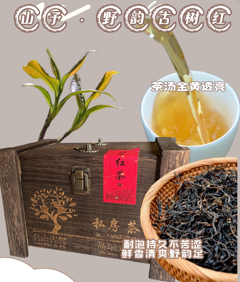 【端午好礼】山予野韵 300年野生古树红茶 云南工夫红茶 蜜香滇红