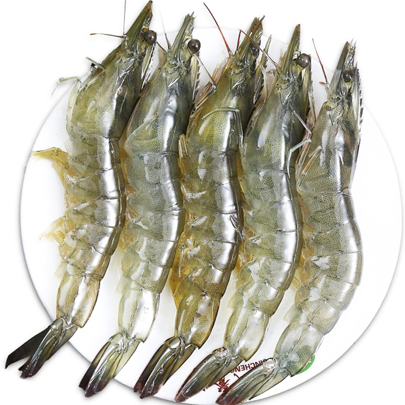 （活捞）鲜活大明虾基围虾500g30只内每日质检