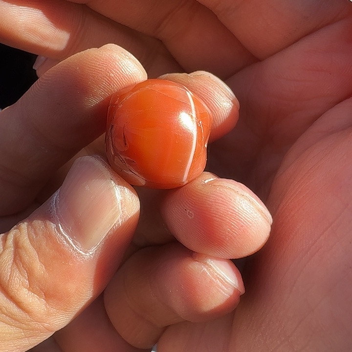 合金类哈哈哈哈哈哈哈就哈哈